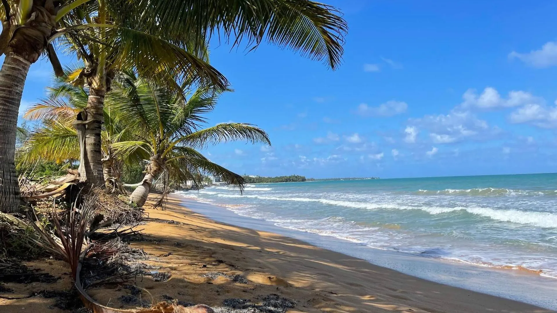 True Beachfront Oasis With Amazing Views Life ルキリョ 0*,  プエルトリコ
